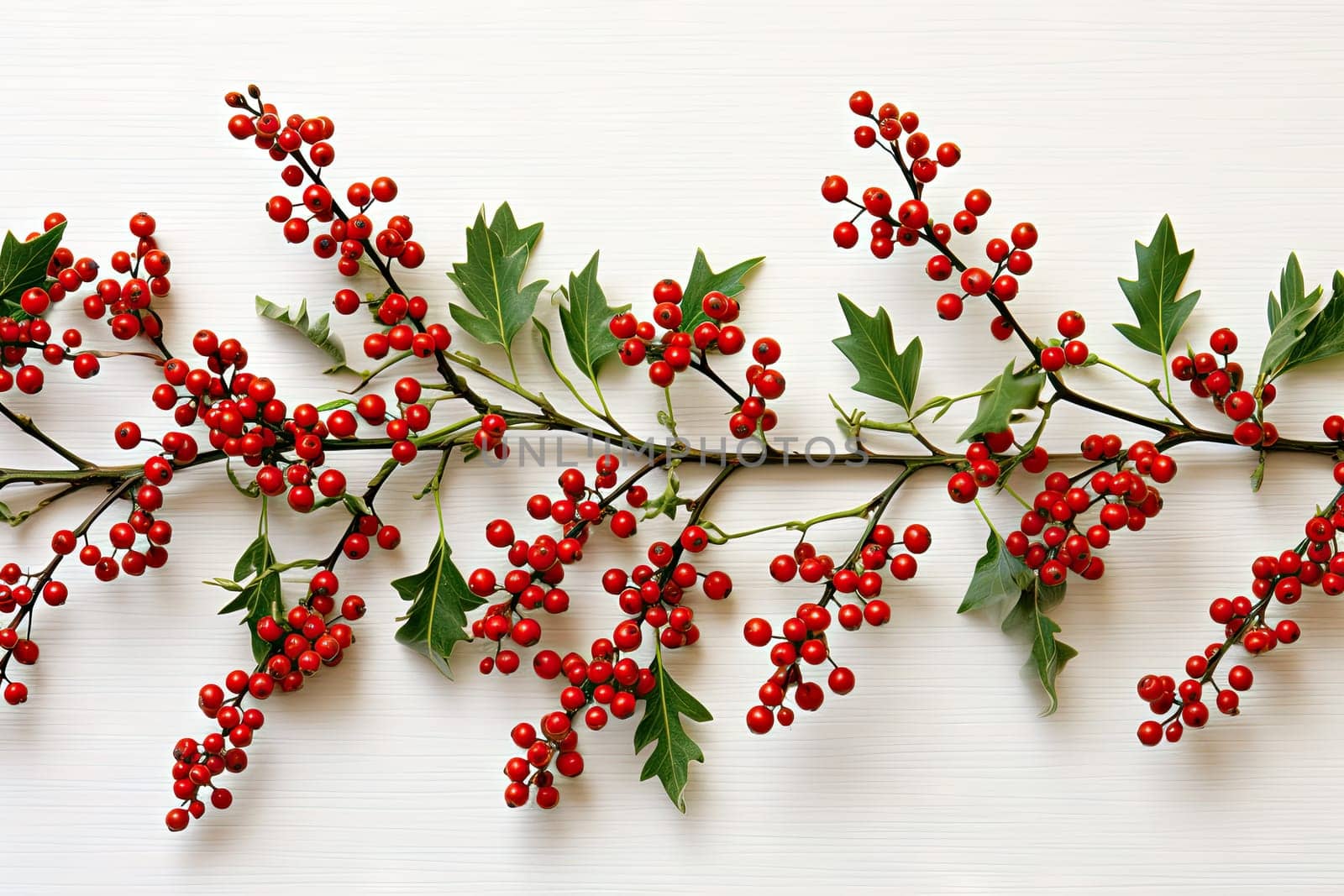 A Vibrant Branch Adorned with Luscious Red Berries and Fresh Green Leaves