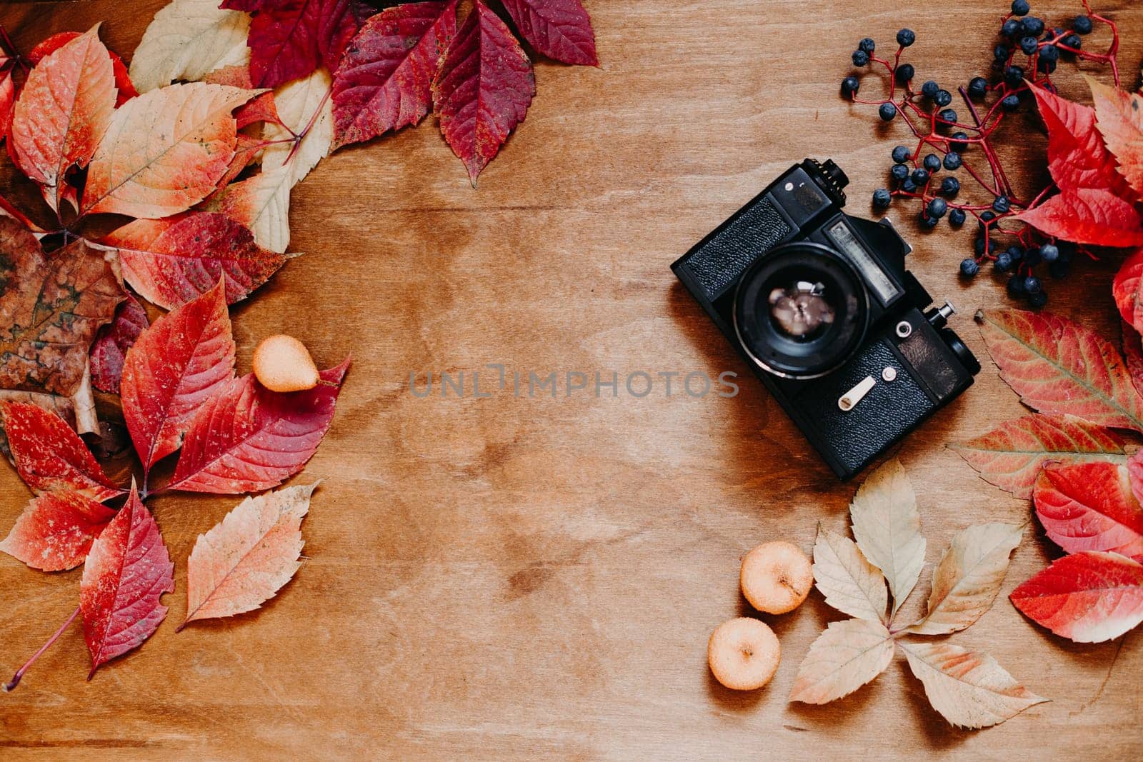 colorful leaves on wooden background camera