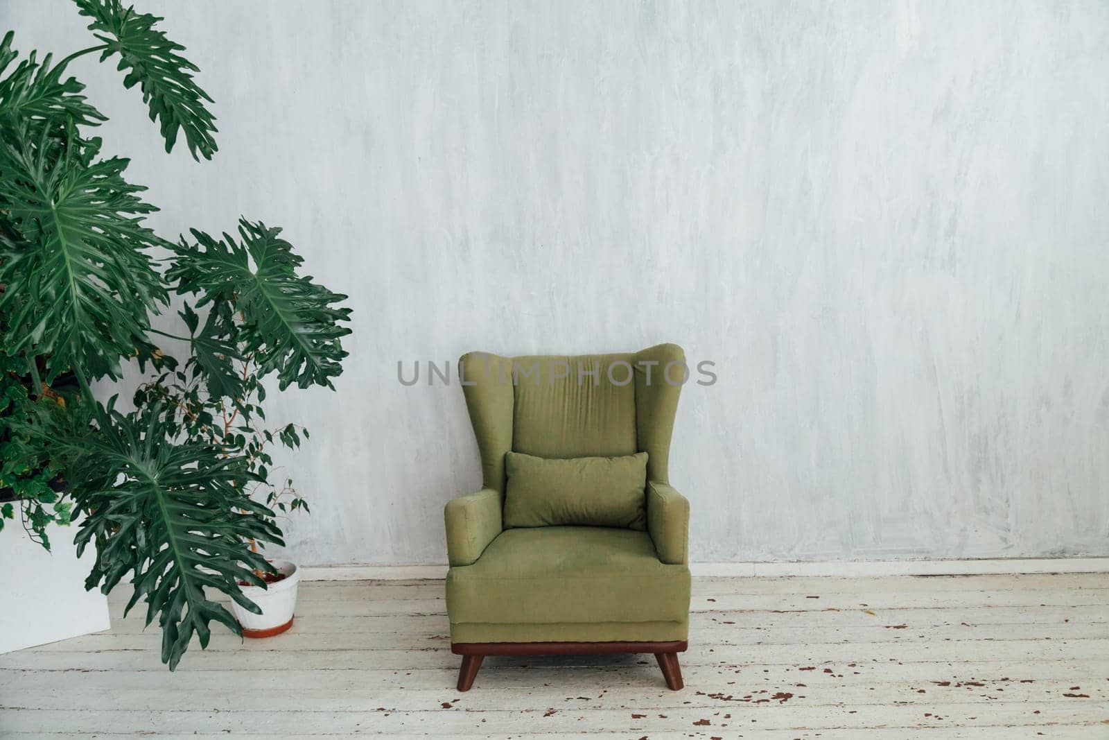 chair with a home plant in the interior of the gray room by Simakov