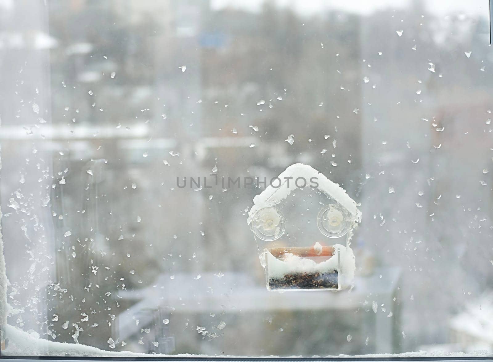 Winter concept. Frost on the window. A small bird feeder with millet and seeds on suction cups on the window, Covered with snow and ice. Copy space.