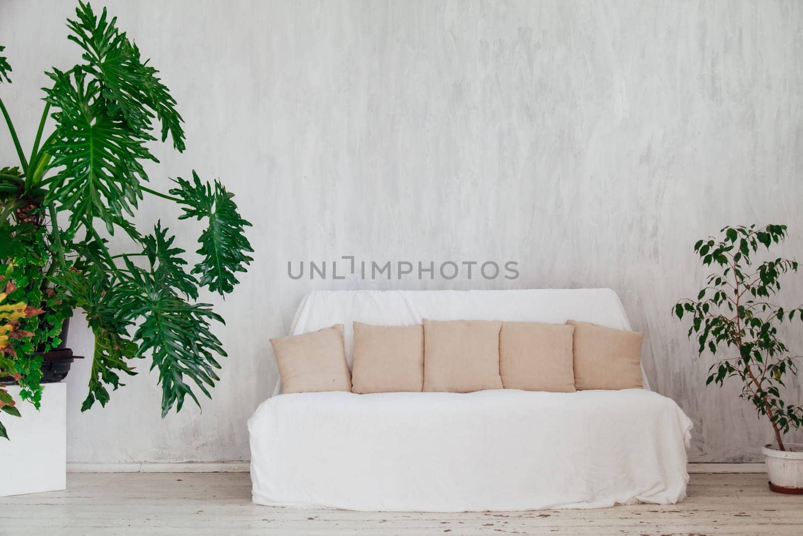 white sofa with plants in the interior of an empty room with windows by Simakov