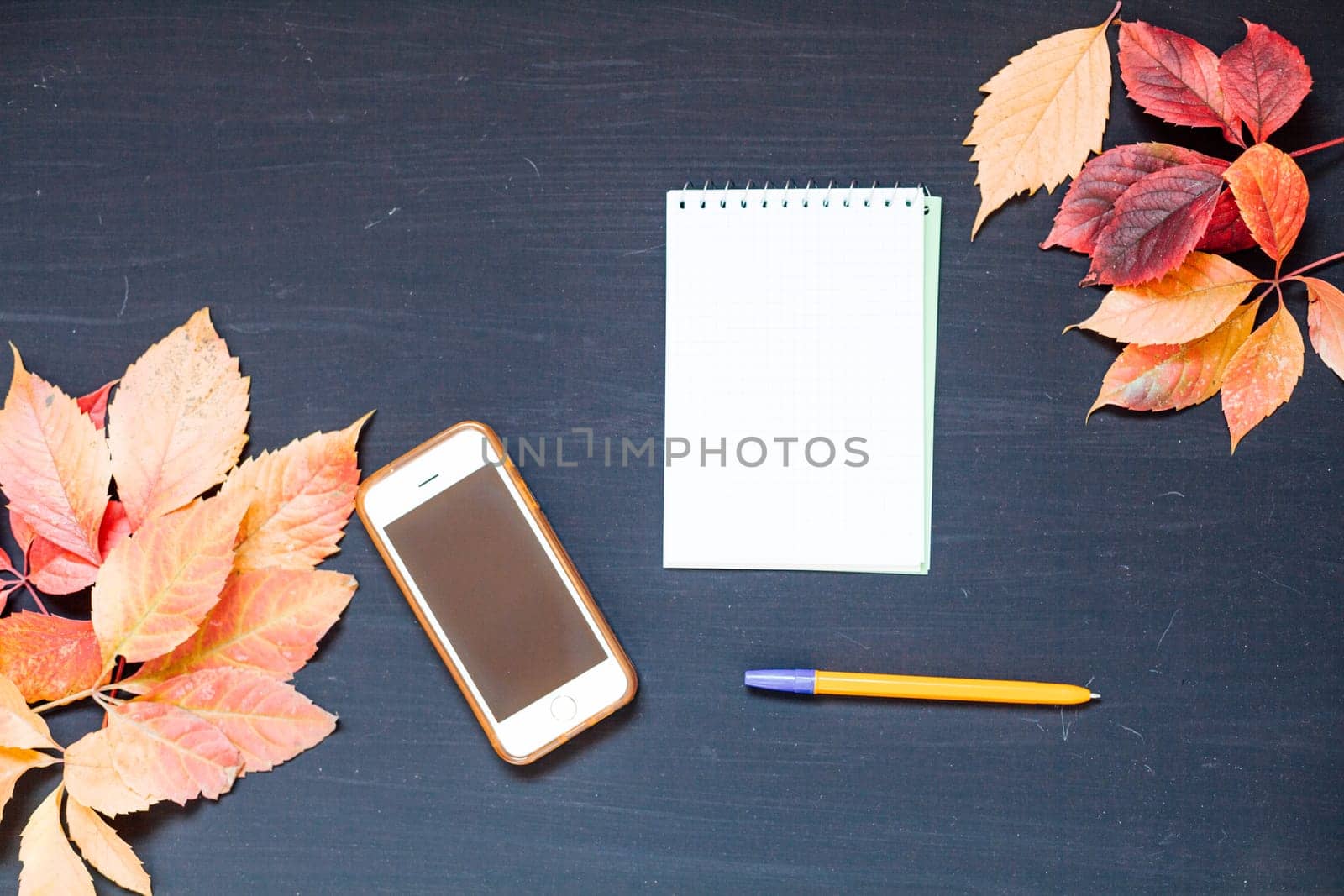 Autumn leaves smartphone notebook pen on a black table 1