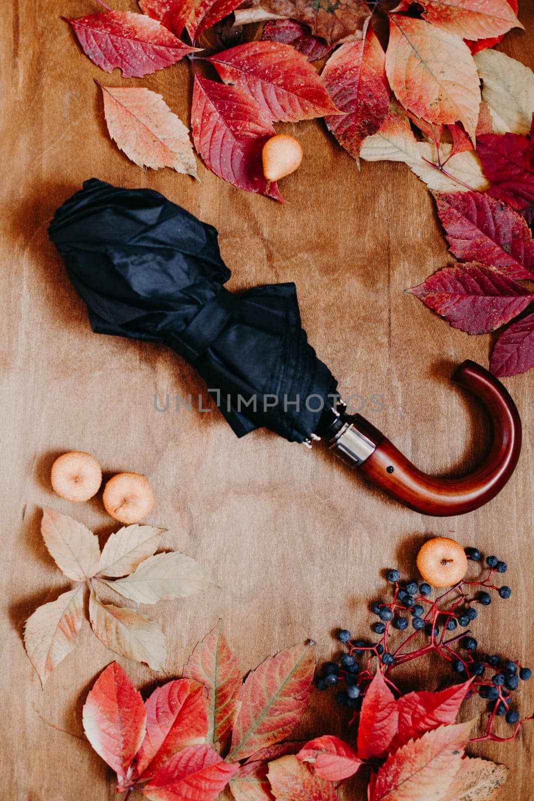 colorful leaves on wooden background black umbrella rain by Simakov