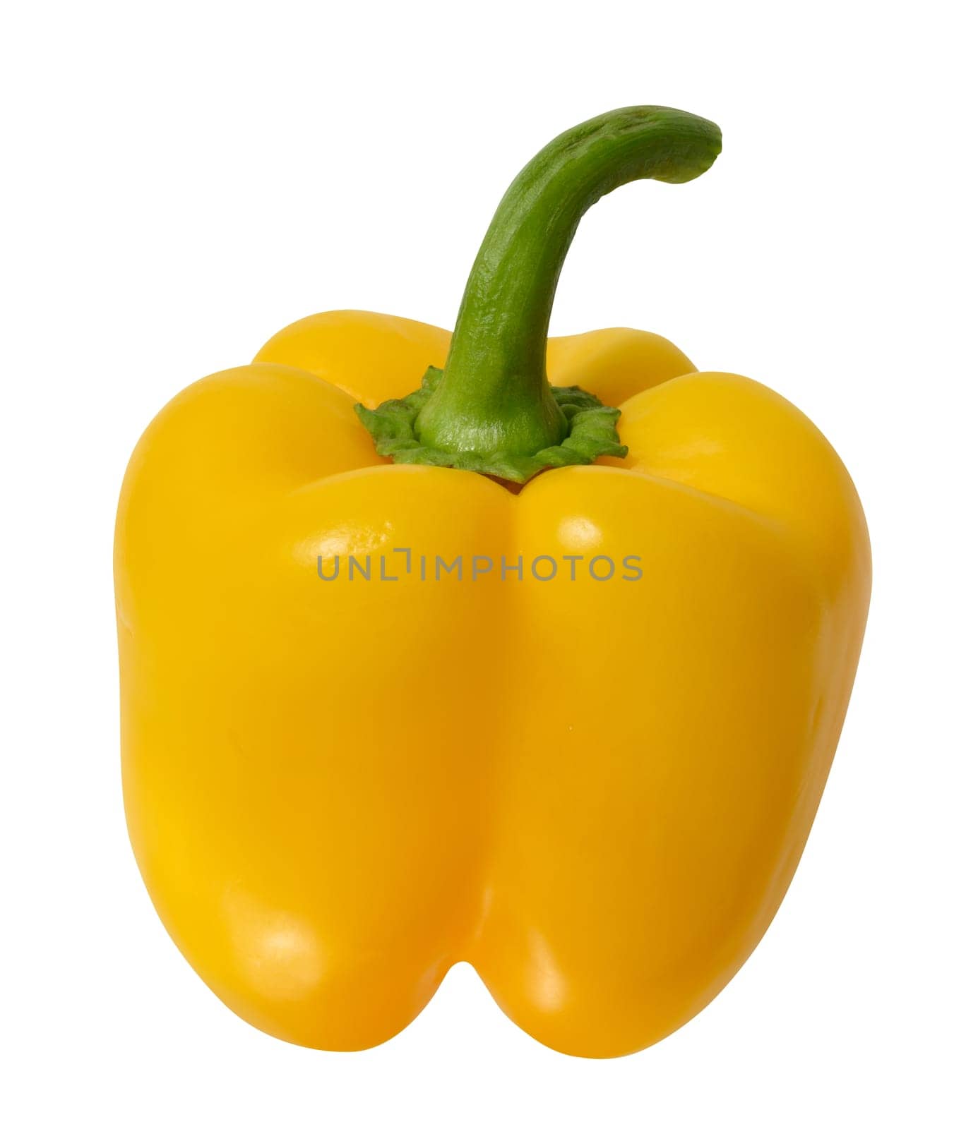 Whole yellow bell pepper isolated on white background, juicy and healthy vegetable