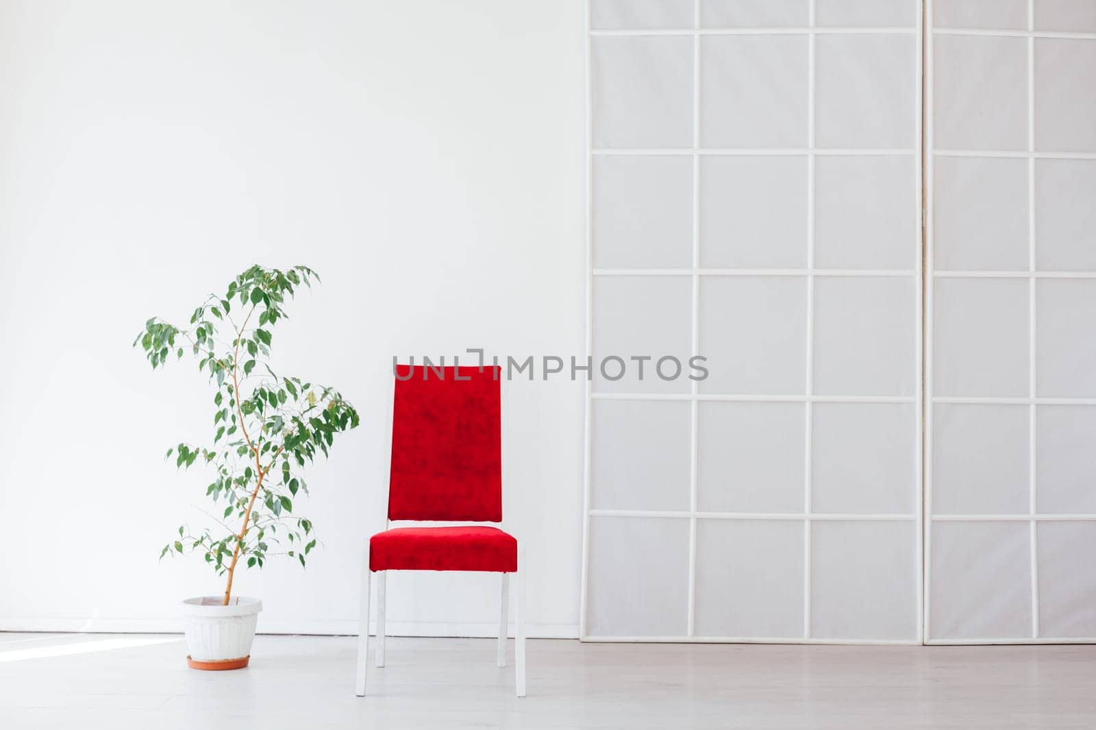 red chair with a home plant in the interior of an empty white room by Simakov
