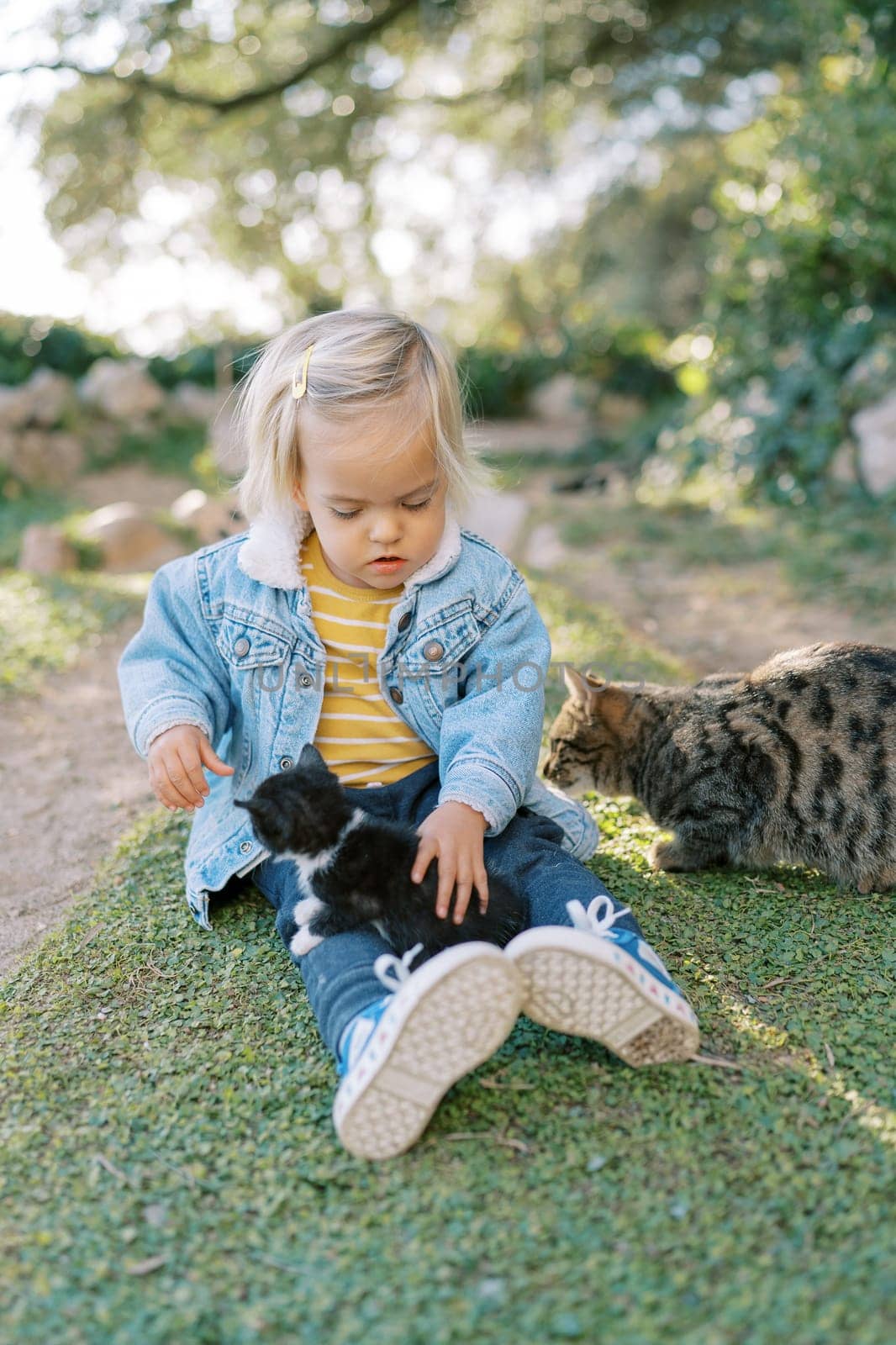 Little girl sits on the grass and pets a kitten on her knees next to a cat sniffing her by Nadtochiy