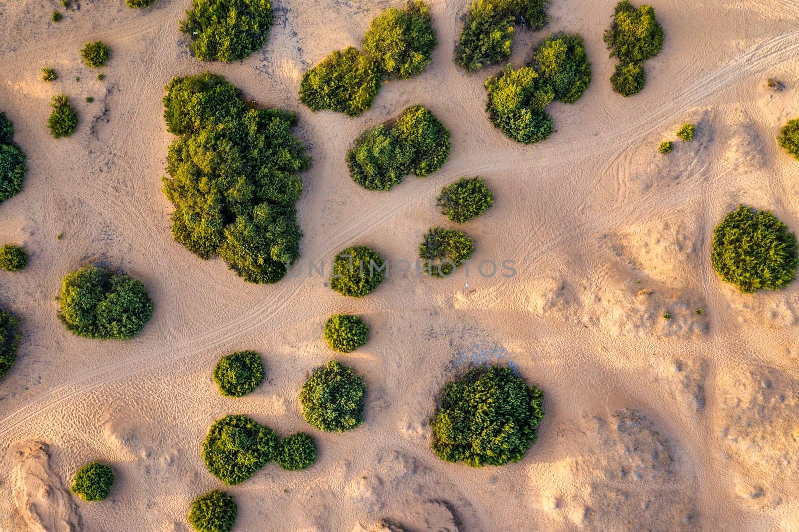 Aerial drone view over sand dunes close to Lake Korission. It is located in the southern part of Greek island of Corfu, Greece.