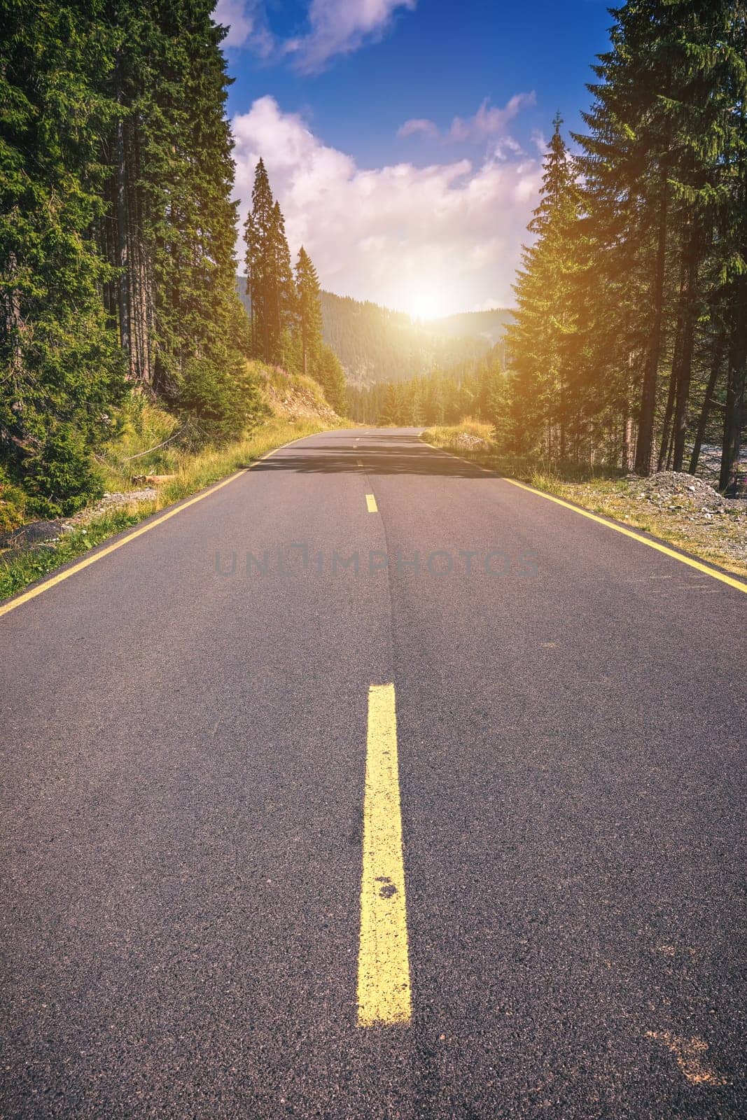 Empty asphalt road with cloudy sky and sunlight in mountains and forest. Transalpina landscape, Romania.