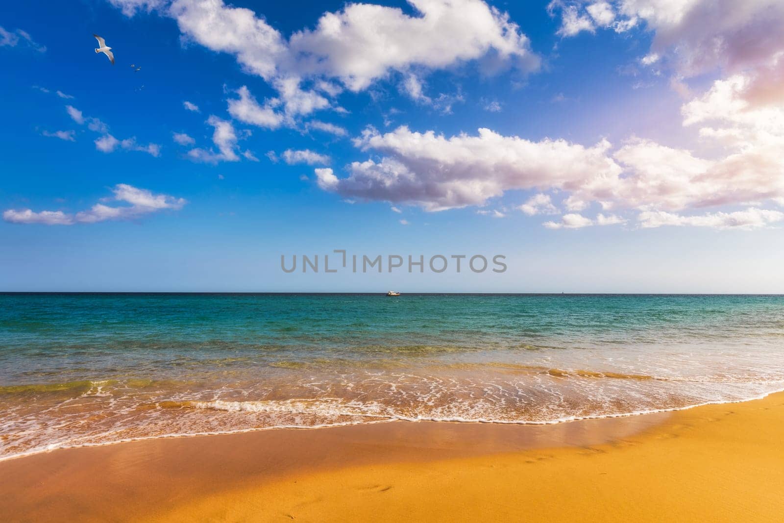 View on the beach Sotavento with golden sand and crystal sea water of amazing colors on Costa Calma on the Canary Island Fuerteventura, Spain. Beach Playa de Sotavento, Canary Island, Fuerteventura. by DaLiu