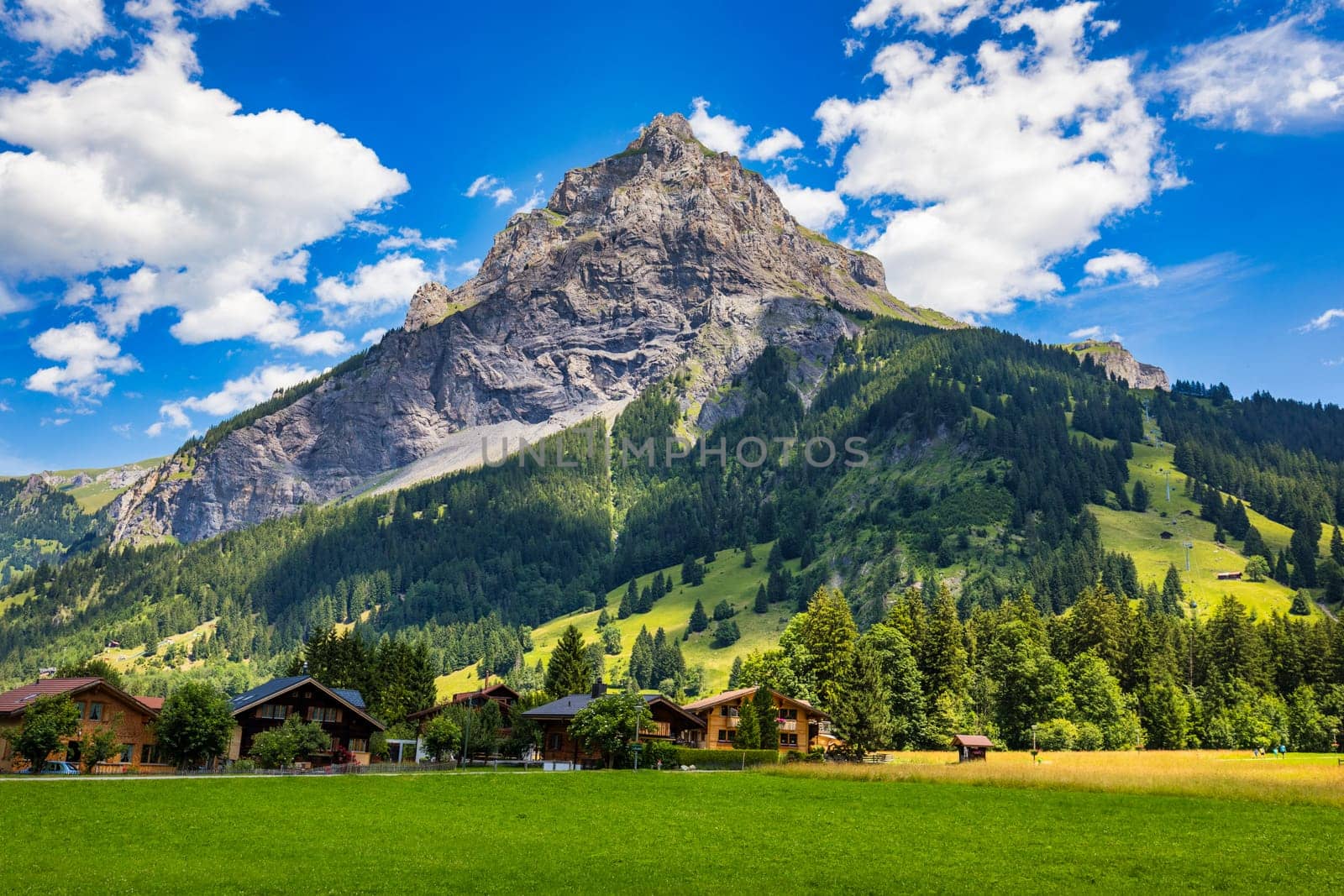 Panoramic view of idyllic mountain scenery in the Alps with fresh green meadows in bloom on a beautiful sunny day in summer, Switzerland. Idyllic mountain landscape in the Alps with meadows in summer. by DaLiu