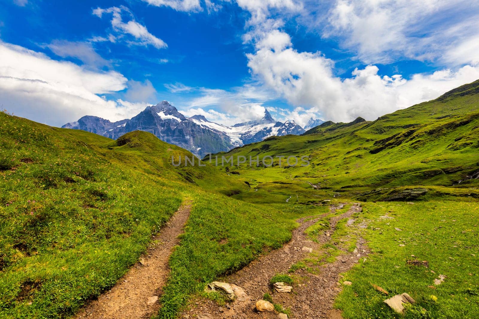 Panoramic view of idyllic mountain scenery in the Alps with fresh green meadows in bloom on a beautiful sunny day in summer, Switzerland. Idyllic mountain landscape in the Alps with meadows in summer. by DaLiu