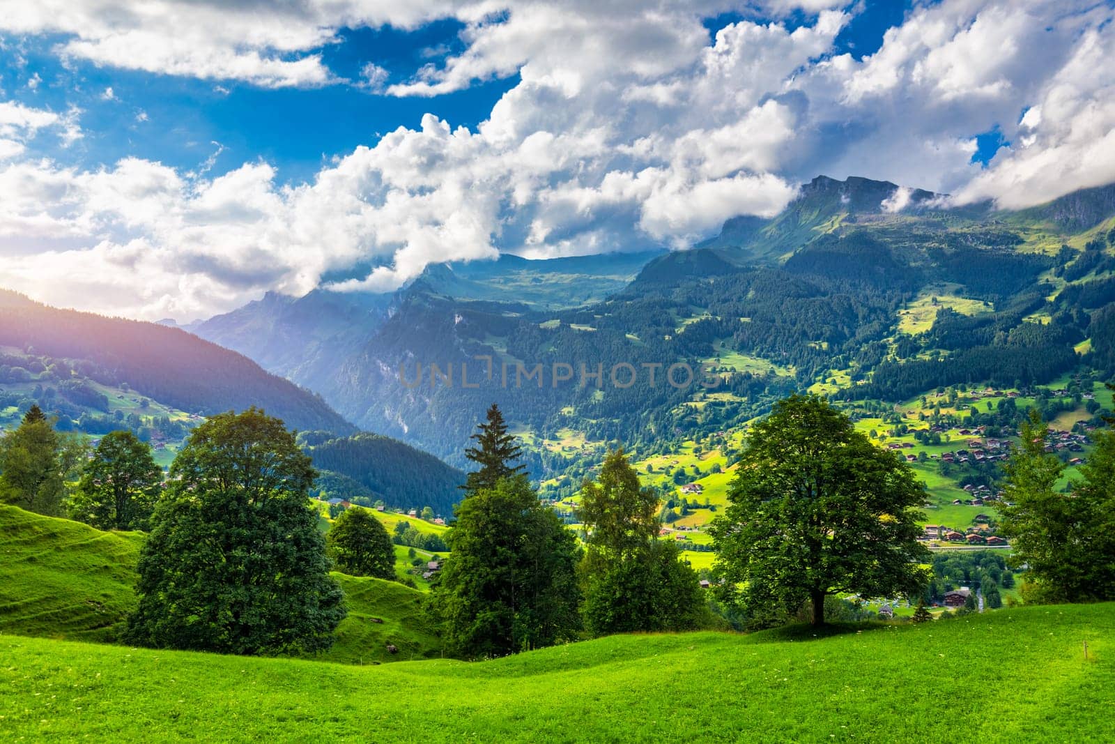 Grindelwald village view and summer Swiss Alps mountains panorama landscape, wooden chalets on green fields and high peaks in background, Switzerland, Bernese Oberland, Europe. by DaLiu