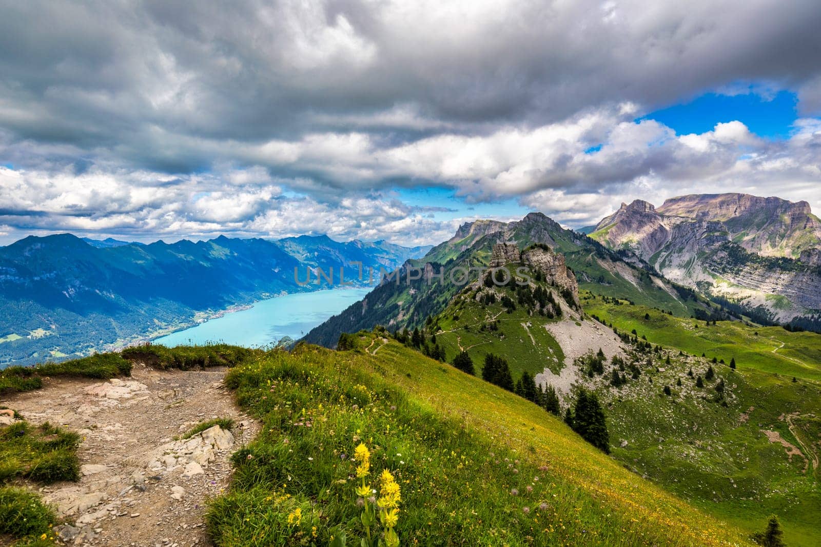 Beautiful Lake Thun and Lake Brienz view from Schynige Platte trail in Bernese Oberland, Canton of Bern, Switzerland. Popular mountain in the Swiss Alps called Schynige Platte in Switzerland. by DaLiu