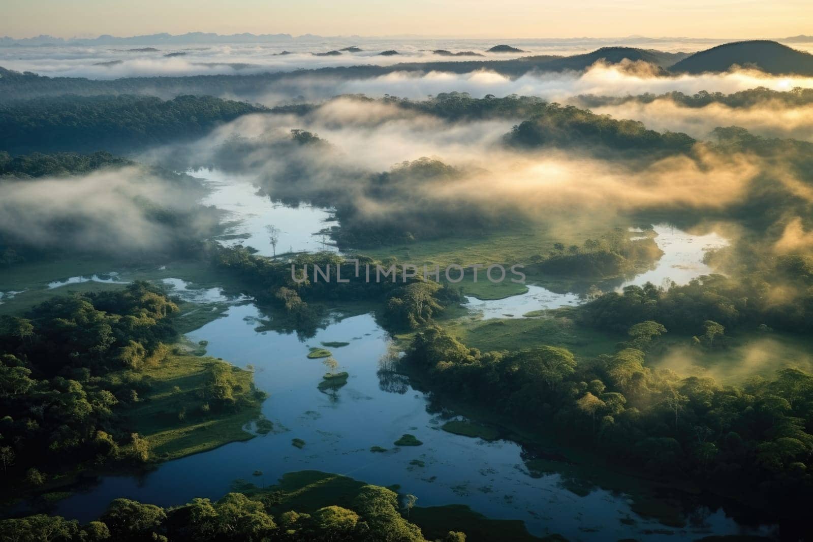 Aerial view of dark green forest with misty clouds. AI Generated by Desperada