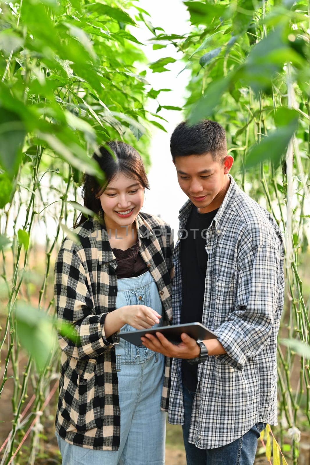 Smiling young couple farmers using digital tablet supervising the growing of plants in greenhouse.