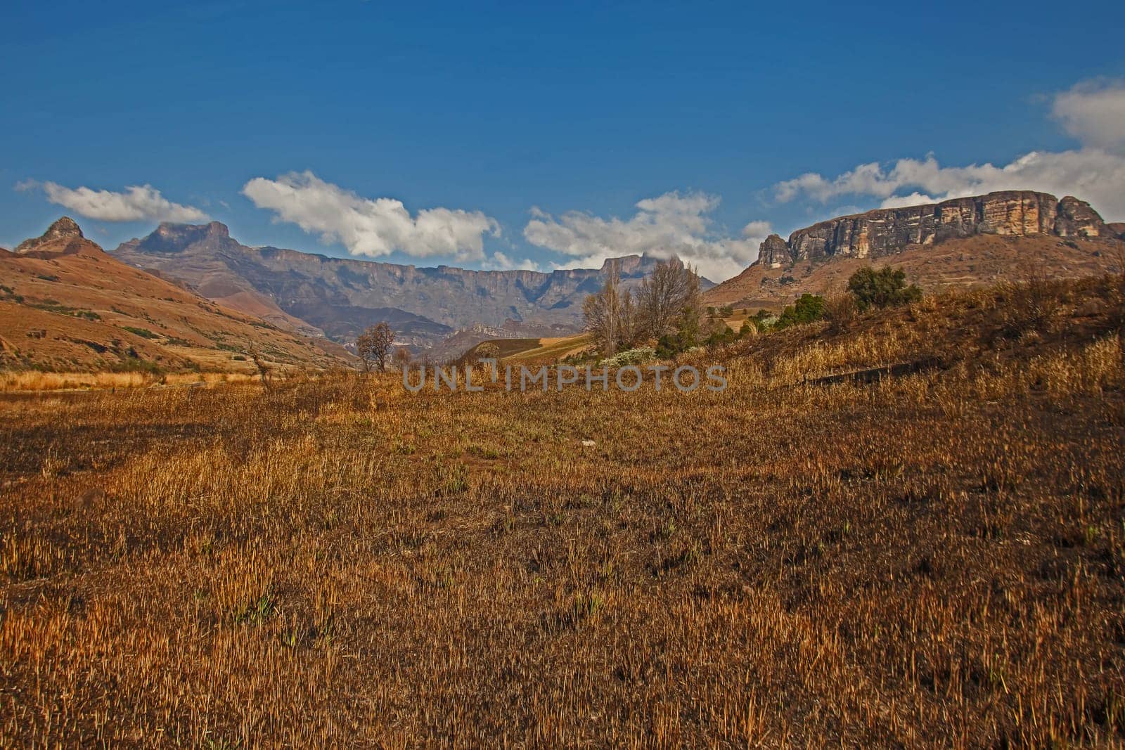 Drakensberg Mountain scene 15607 by kobus_peche