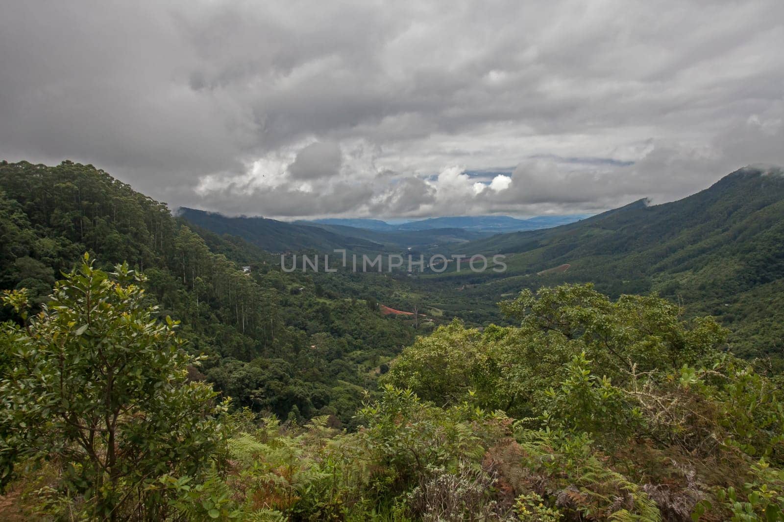 A stormy view over the Magoebaskloof wilderness area seen from the Swartbos Hiking Trail.