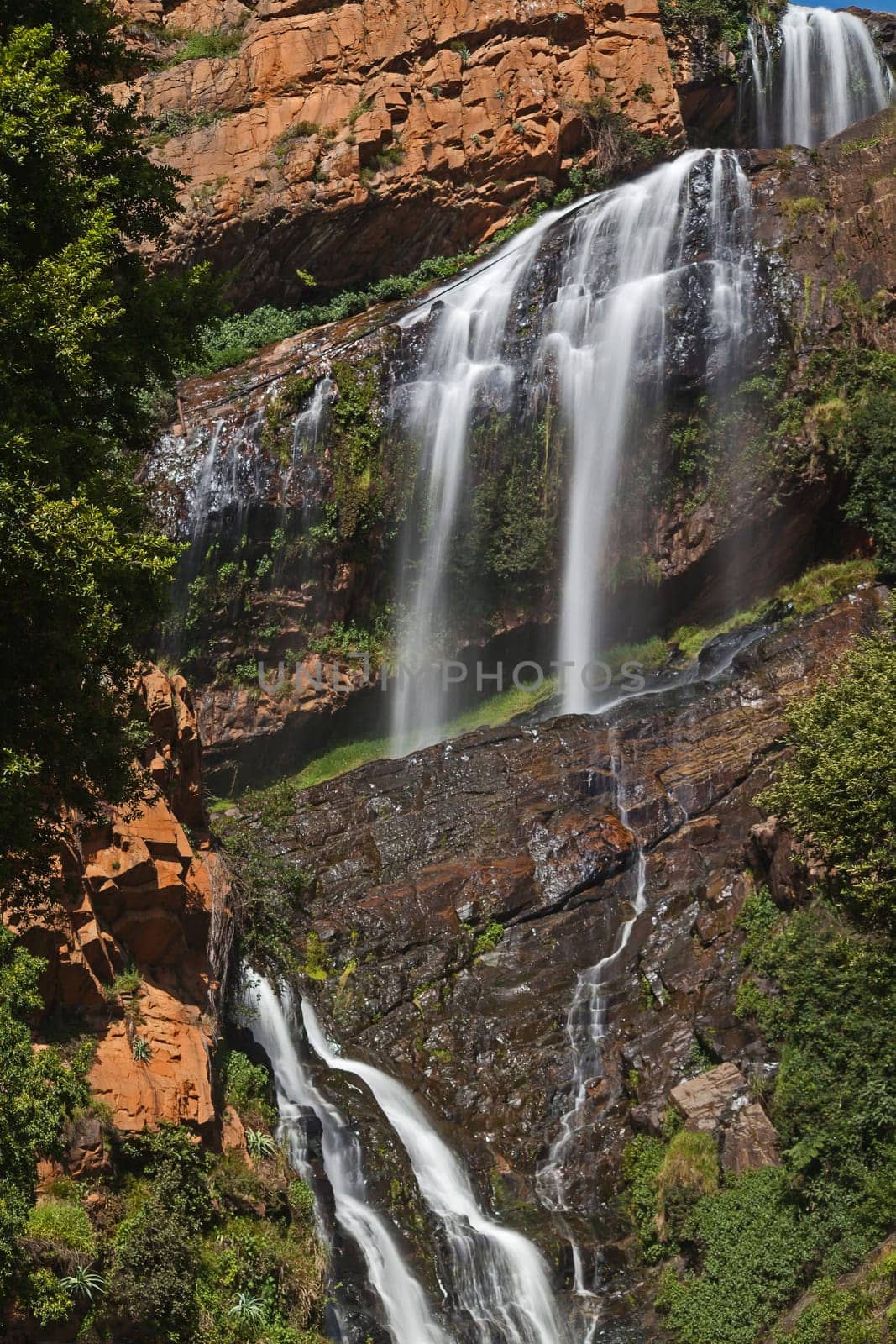 The waterfall in the Walther Sisulu Botanical Garden in Johannesburg South Africa is famous for the pair of Verreaux's Eagles nesting next to it