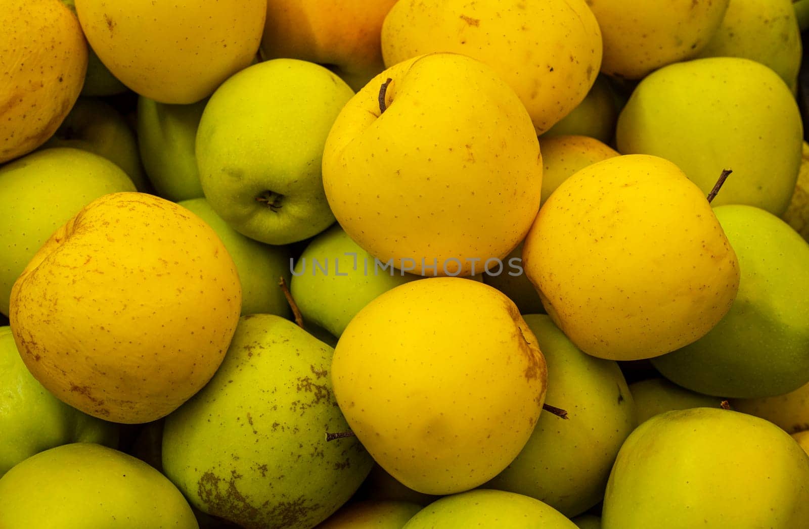background of green and yellow apples in a fruit market. background of apples of different colors
