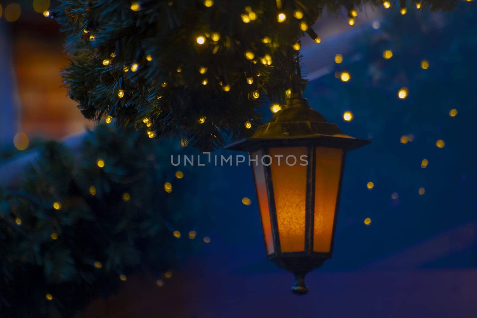 Glowing lamp with black cats. High quality photo