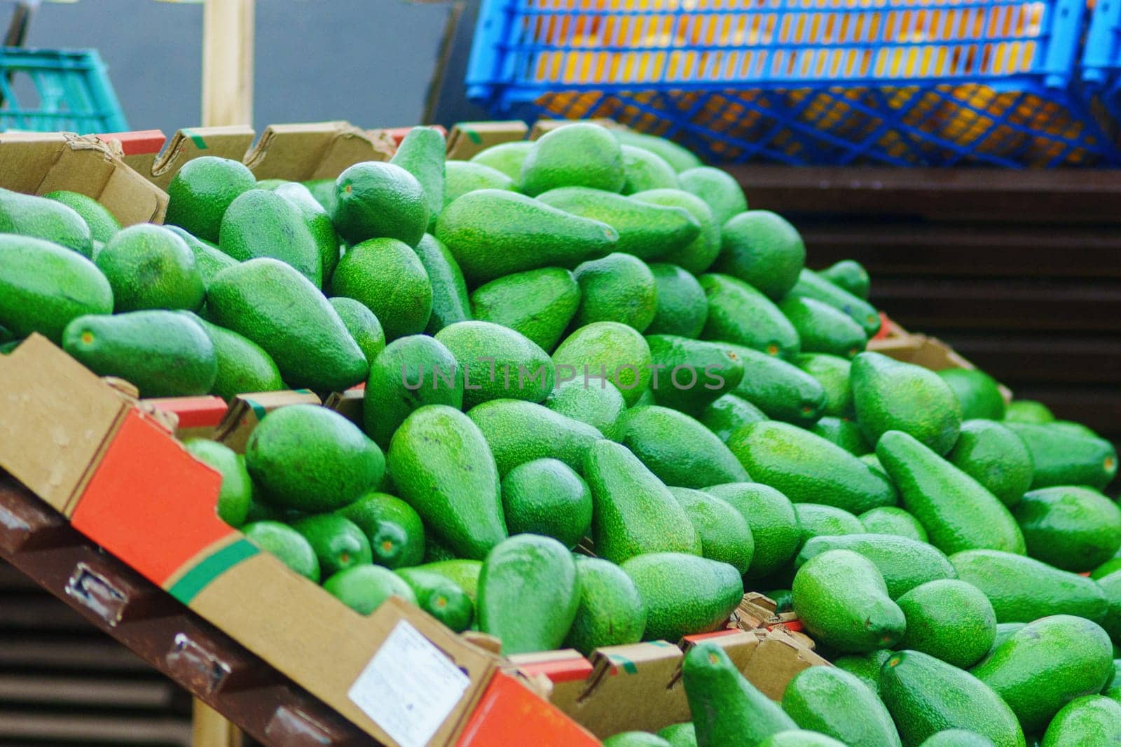 Box Overflowing With Fresh Green avocado. Selective focus by darksoul72