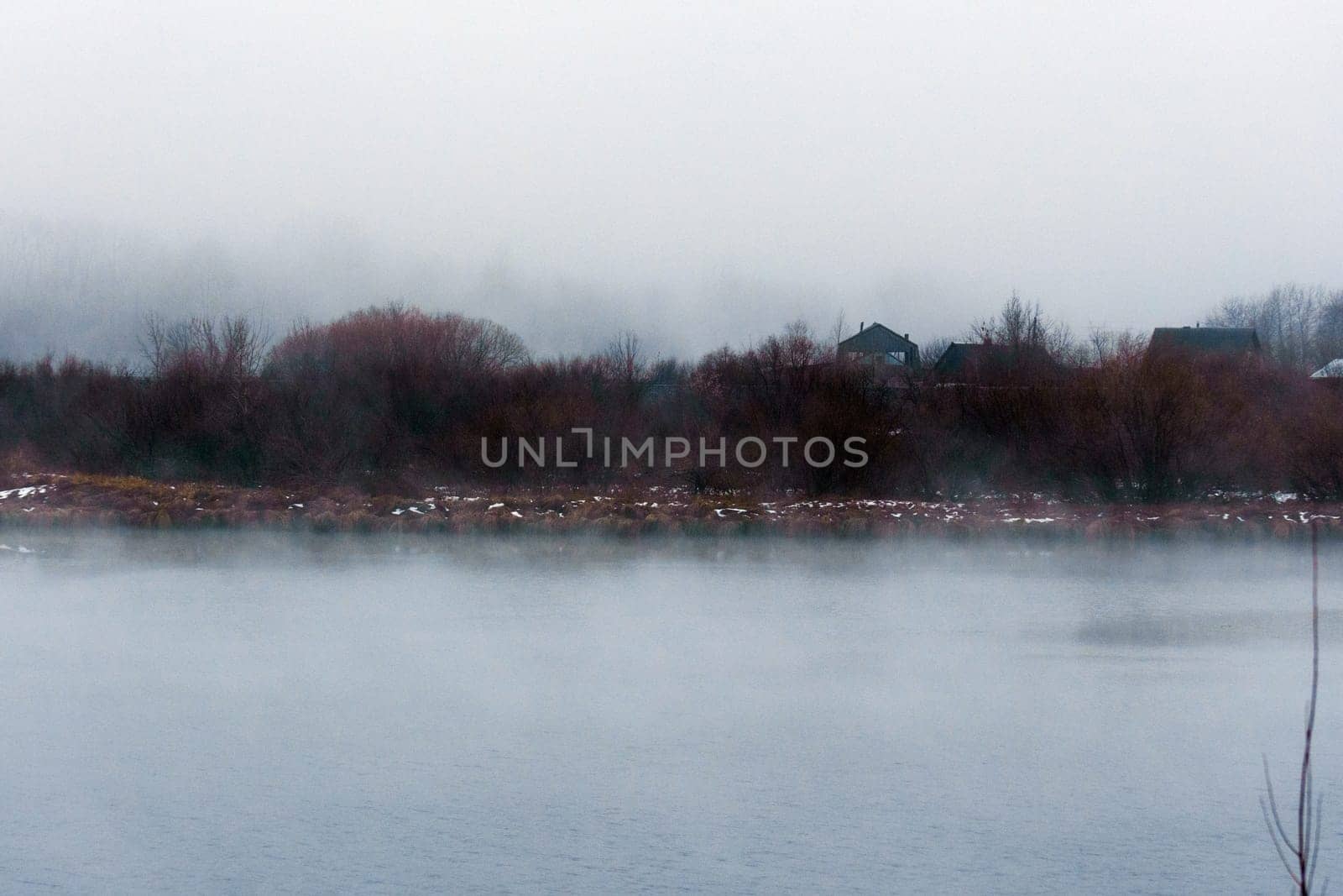 Body of water surrounded by trees and fog. Mysticism nature, tranquility