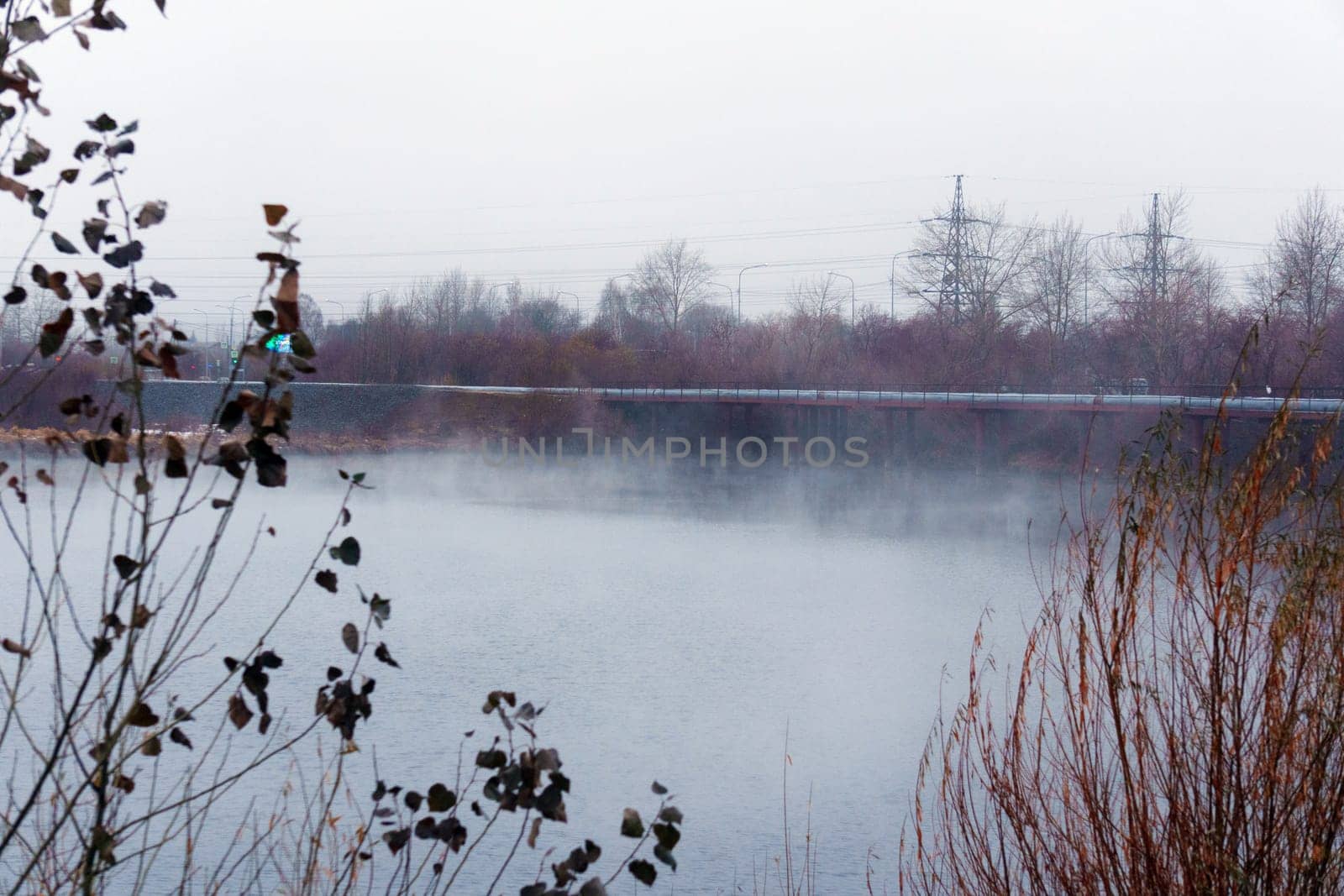 Body of water surrounded by trees and fog. Mysticism nature, tranquility