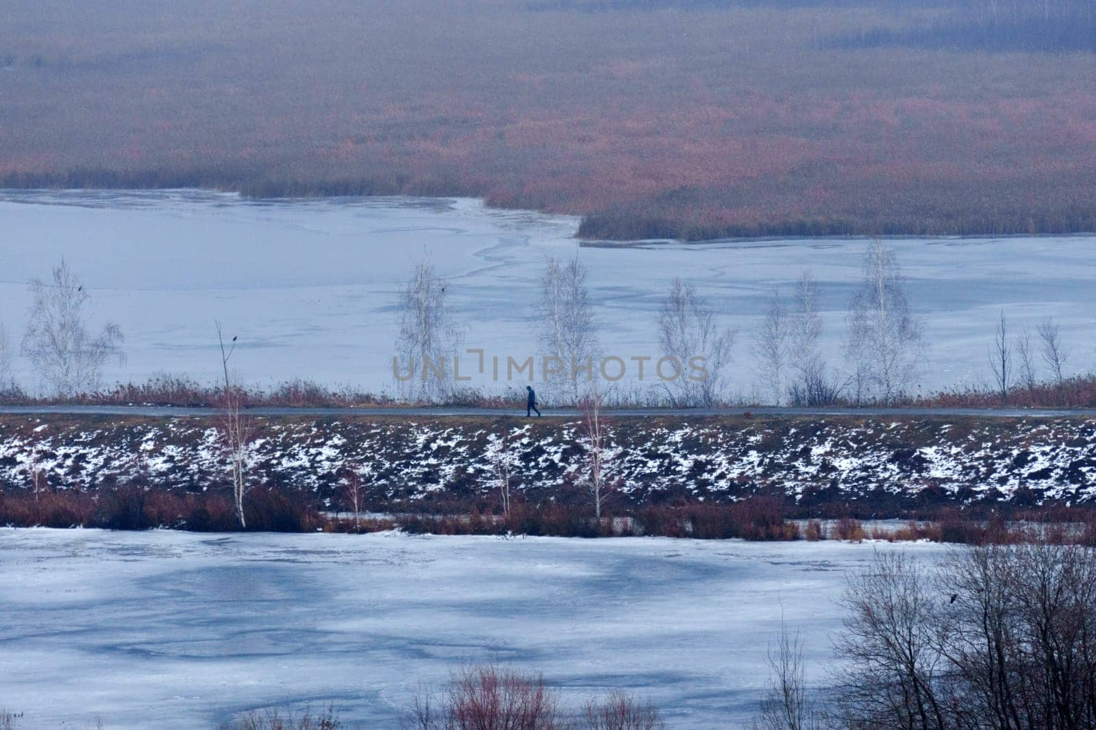 Snowy field with trees and a body of water with a Man and His Dog. Selective focus