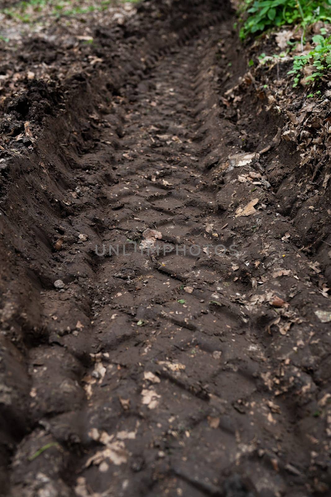 Deep, muddy tire track in the ground, with a blurred greenery background. A sign of off-road adventure. by sfinks