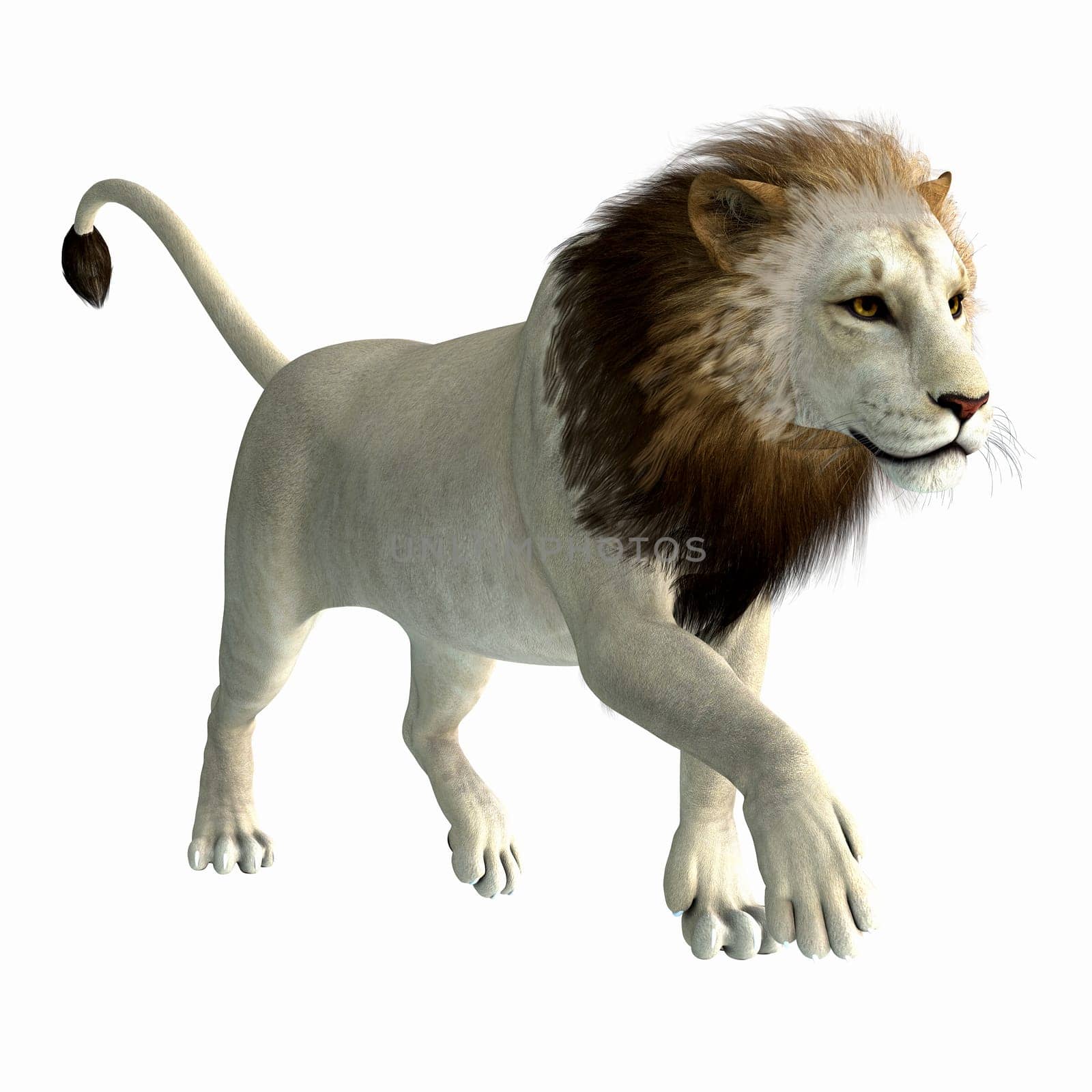 The American lion lived as a megafauna predator during the Pleistocene Period of North America.