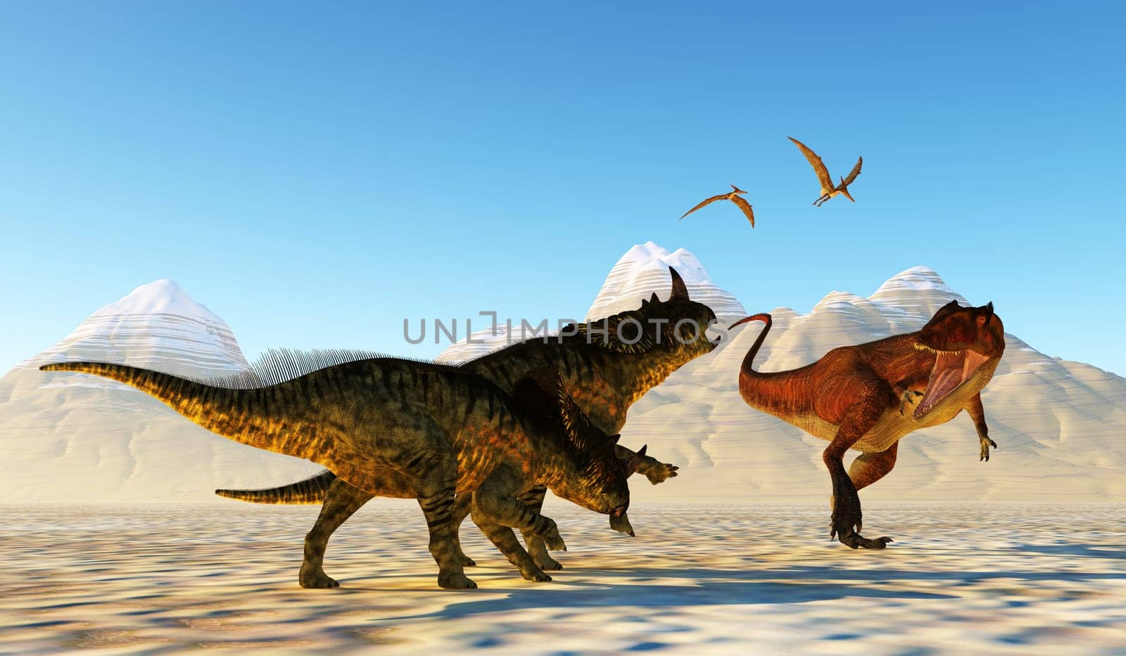 Flying Pteranodon reptiles watch as Carcharodontosaurus attacks Brachyceratops dinosaurs.