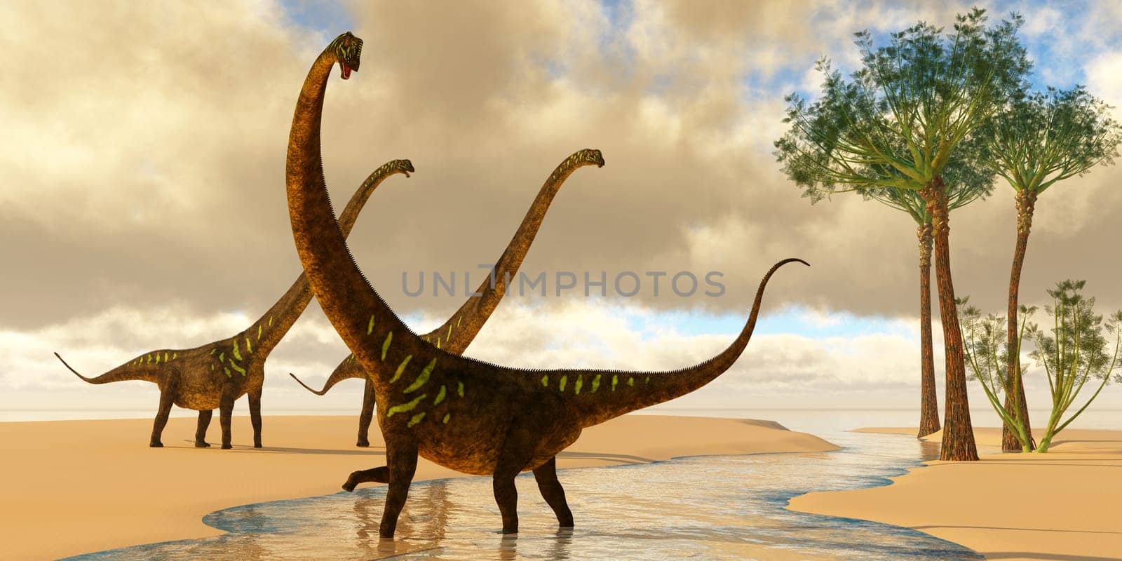 Mamenchisaurus sauropod dinosaurs play in a stream with Wattieza trees grow nearby.
