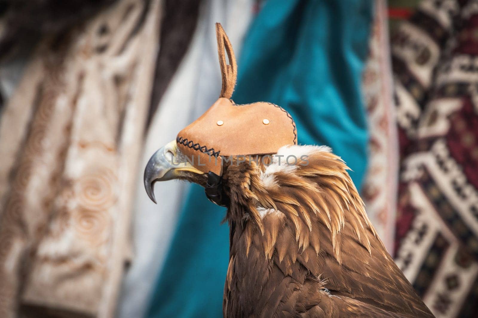 Klobuk - a cap for birds of prey against the background of Kazakh national costumes by Rom4ek
