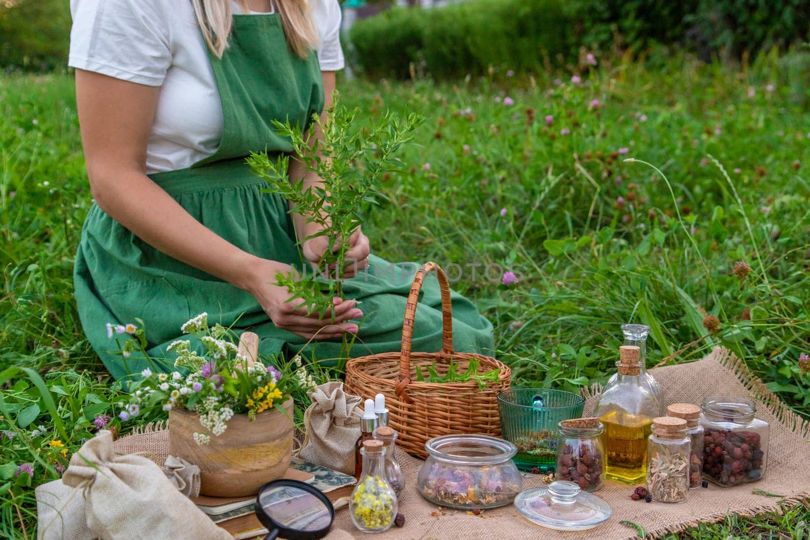 A woman makes herbal tincture. Selective focus. Nature.