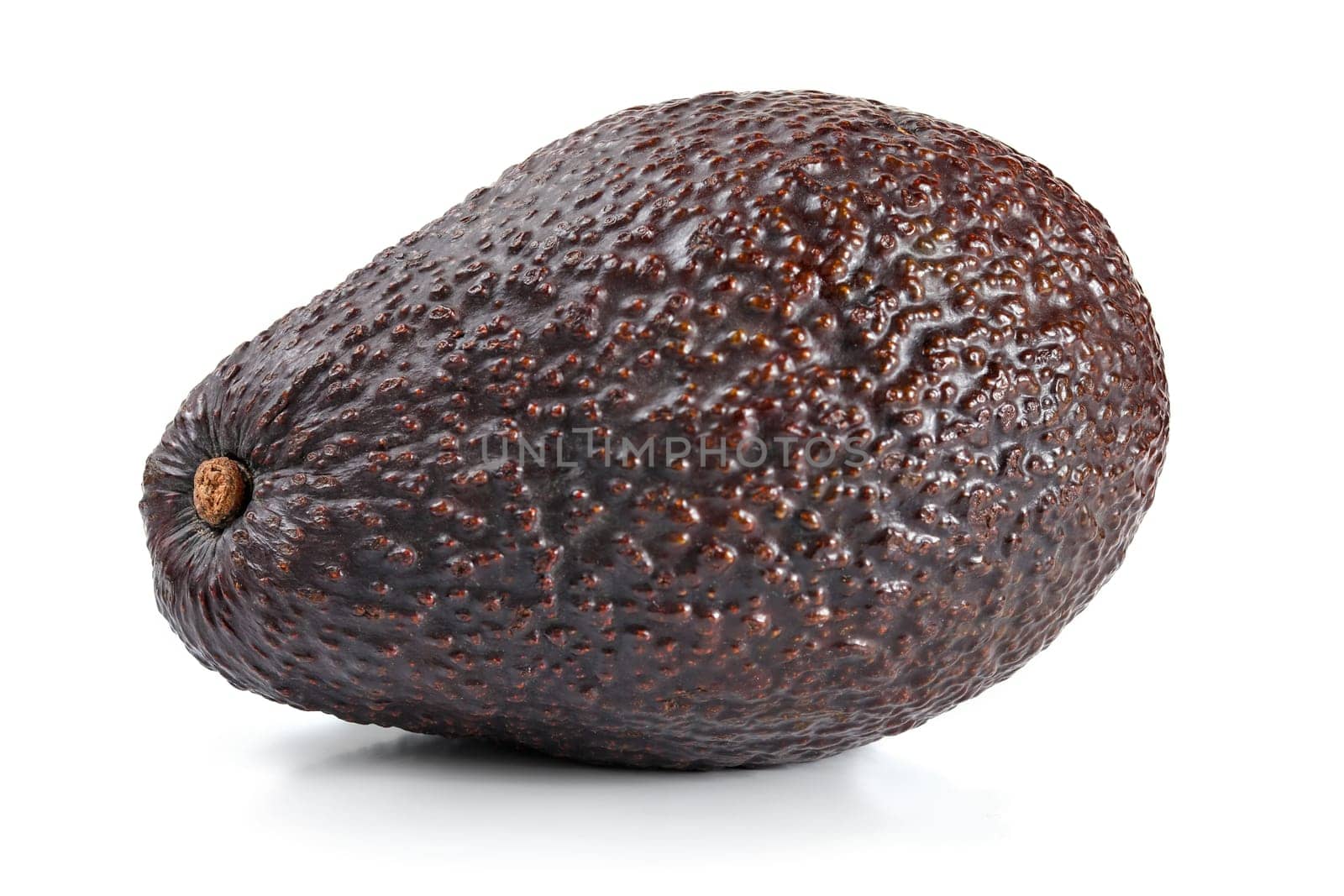 Single dark brown ripe avocado (bilse variety) isolated on white background by Ivanko