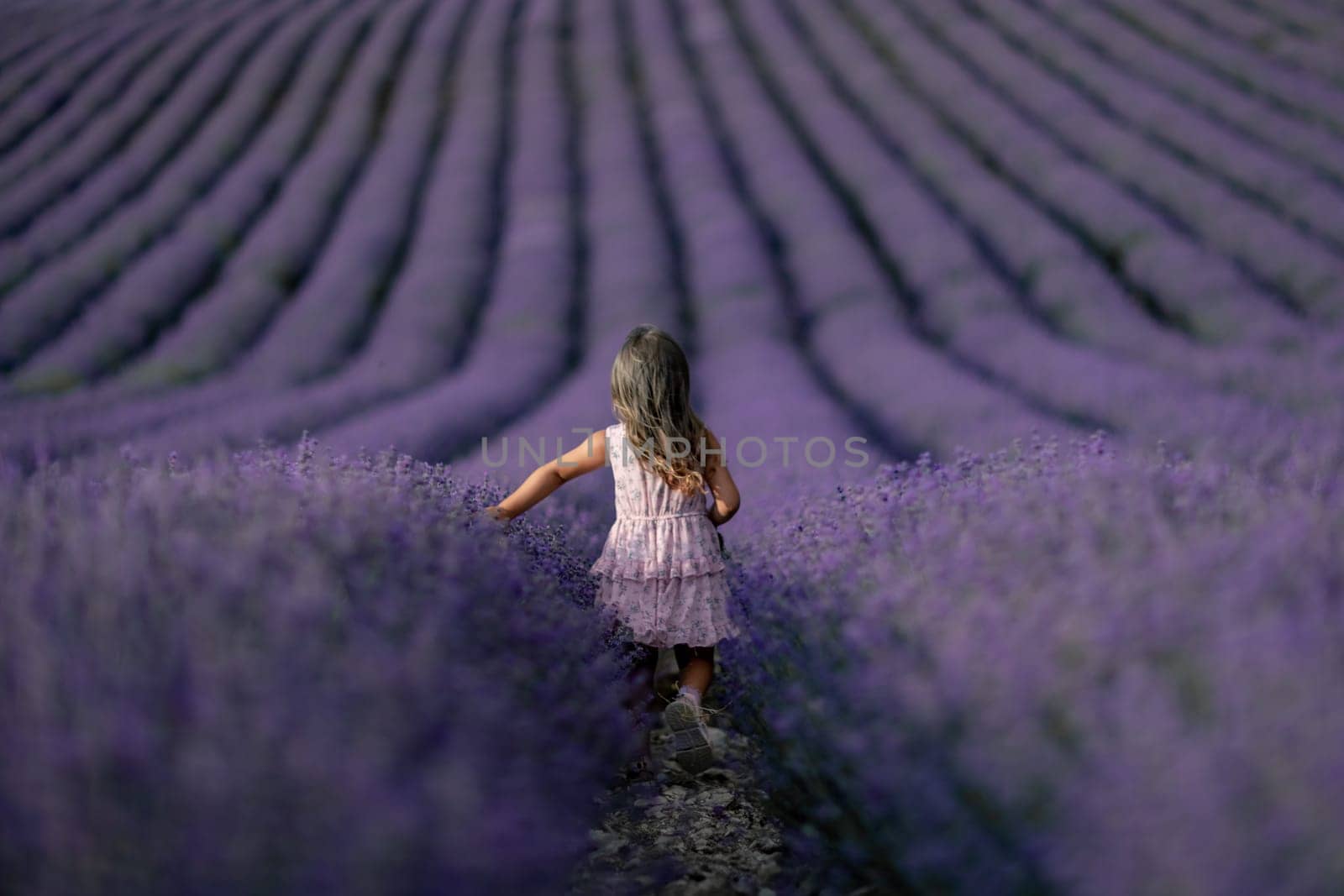 Lavender field girl. Back view happy girl in pink dress with flowing hair runs through a lilac field of lavender. Aromatherapy travel by Matiunina