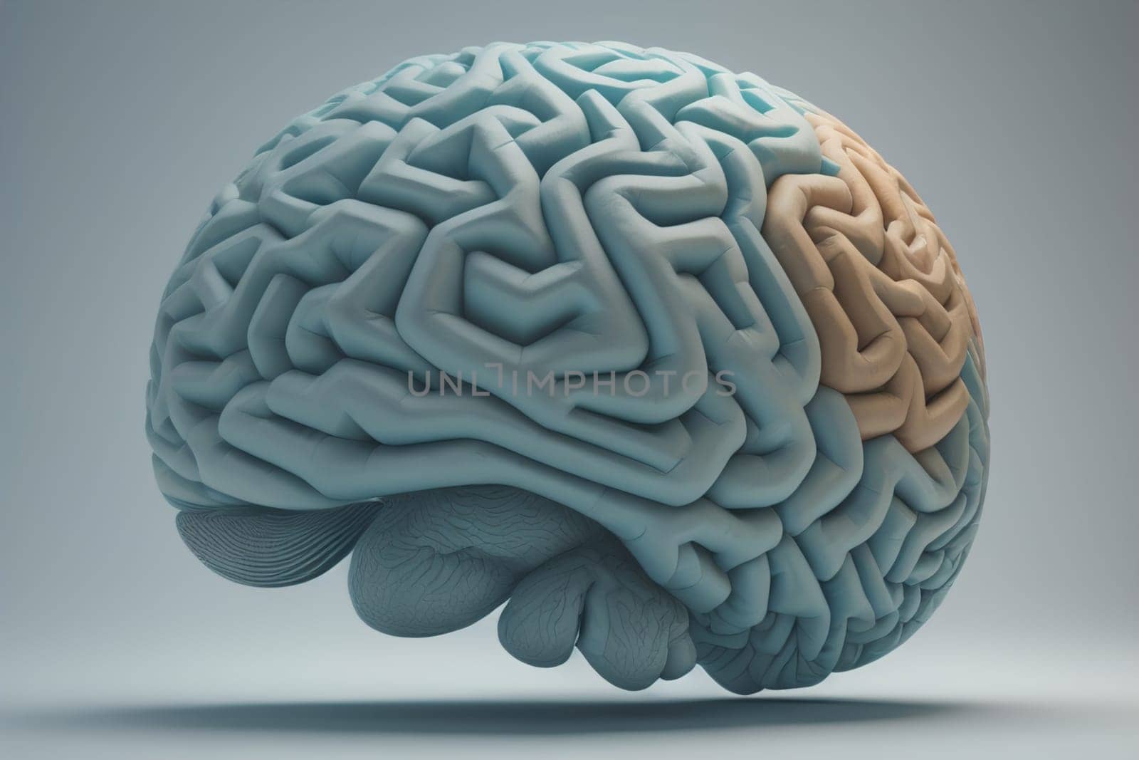 Human brain on a solid color background. ai generative