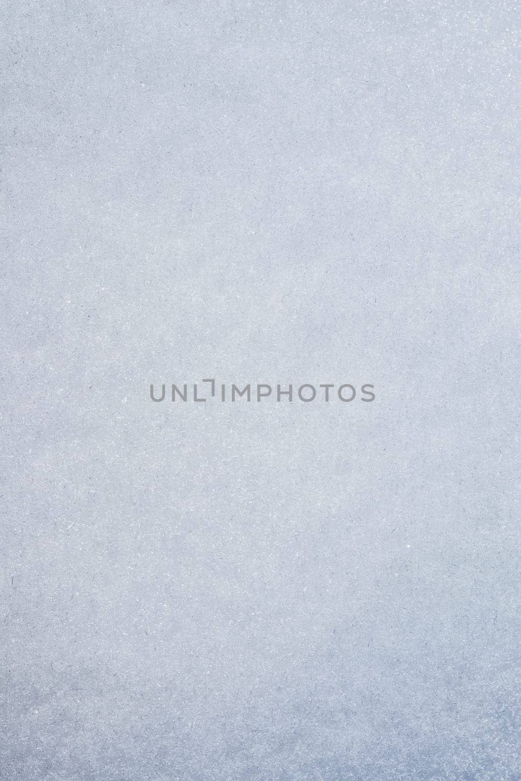 Fresh snow background. Natural winter background. Texture blurred by Olayola