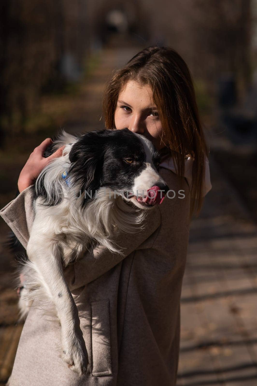 Caucasian woman holding a border collie in her arms while walking in the autumn park. Portrait of a girl with a dog