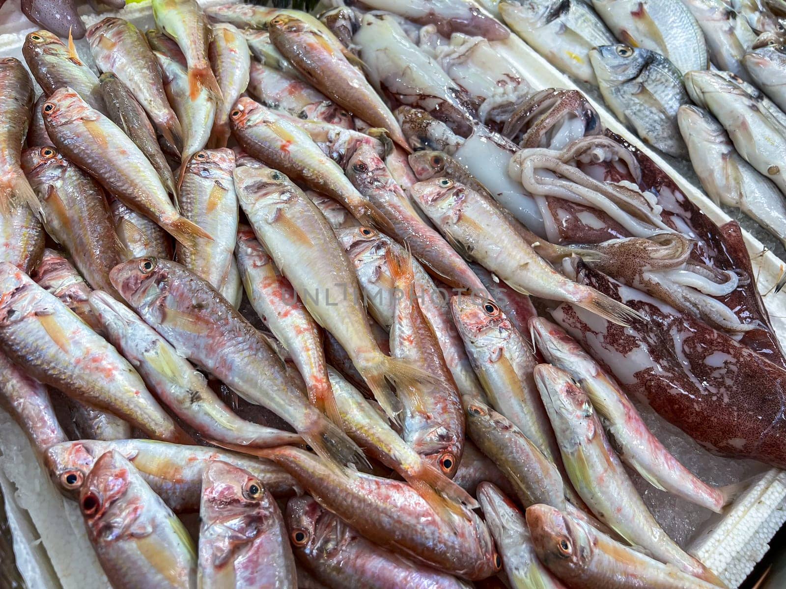 Top view of raw red mullet fish on ice on display at seafood fish market