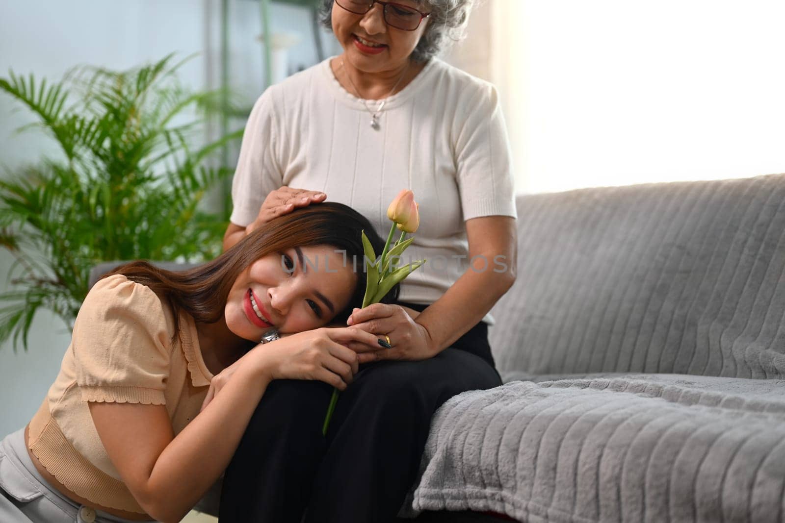 Smiling adult daughter greeting happy mature mother and giving tulip flowers. Happy Mother's day concept.