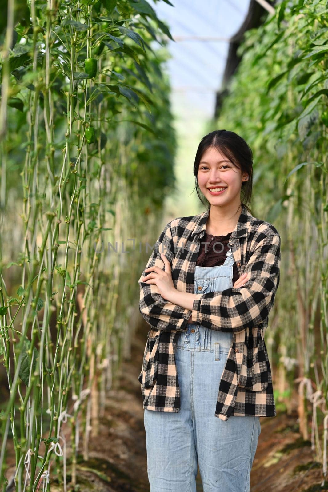 Confident Asian female farmer or owner standing with arms crossed in the greenhouse.