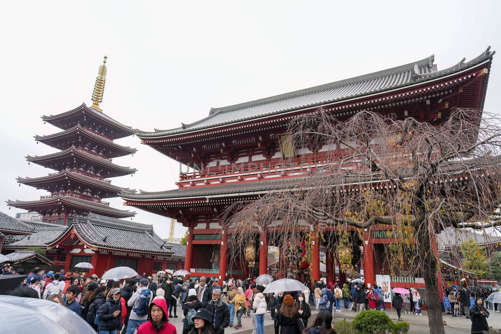 ASAKUSA, TOKYO, JAPAN - NOV 26, 2023 : Kaminarimon of Sensoji in Asakusa area. Asakusa temple.