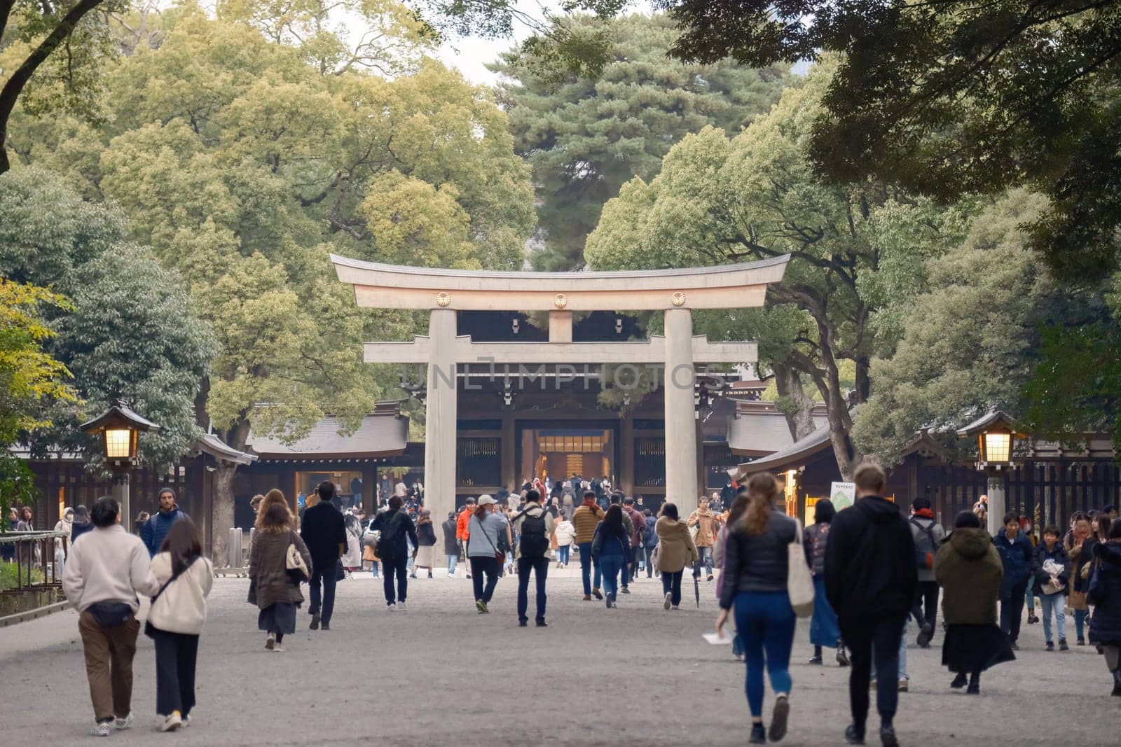 Tokyo, Japan - 28, 2023: Meiji Shrine or Meiji Jingu Main Shrine in Harajuku, Shibuya City during summer. A Shinto Shrine dedicated to Emperor Meiji.