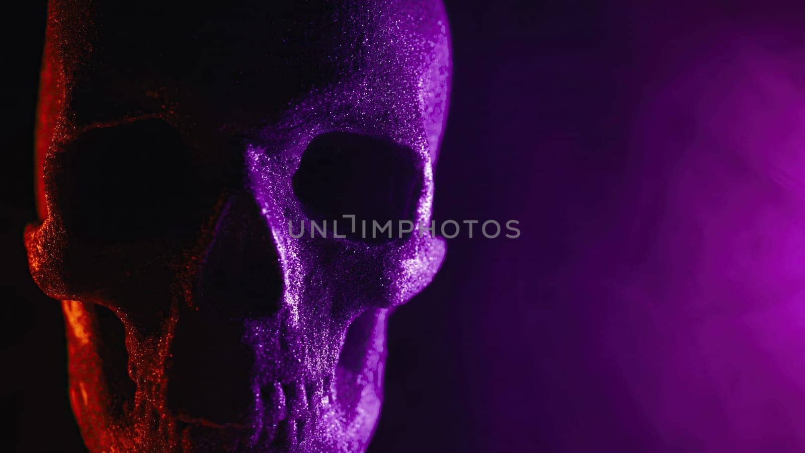 Human skull with neon colorful light. Halloween celebration, mystique, glamour, style concept. Power of symbolism - mortality, rebellion. Exploring life, death, gothic aesthetics. Visual metaphor.