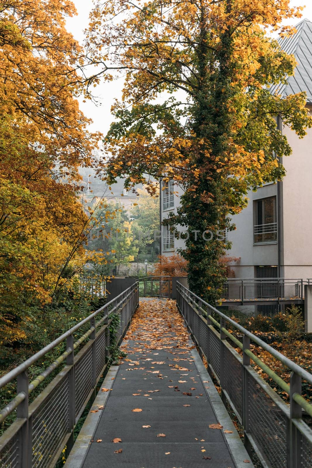 Pedestrian bridge leads to building through park flanked by trees by apavlin