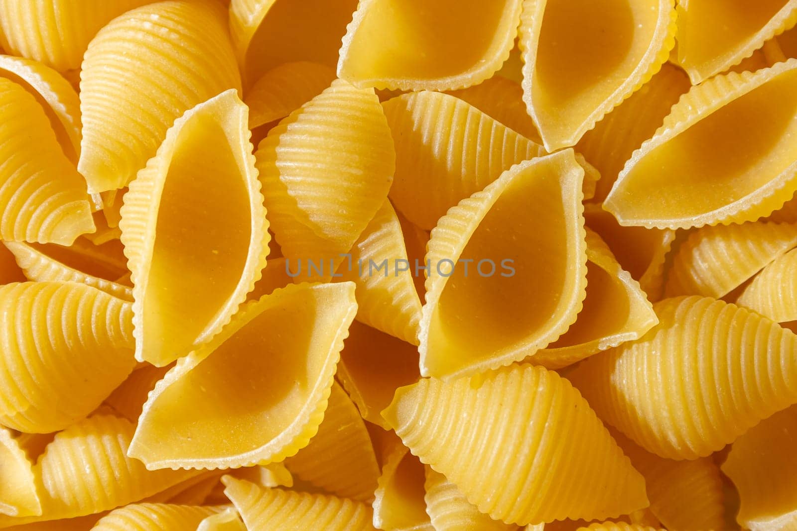 Uncooked Conchiglie Pasta: A Culinary Canvas of Conchiglie Macaroni, Creating a Lively and Textured Background for Gourmet Cooking. Dry Pasta. Raw Macaroni - Top View, Flat Lay
