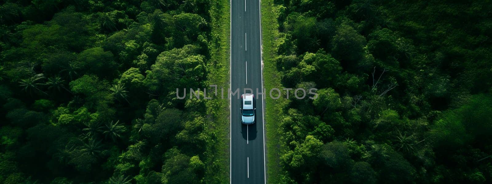 Road forest, car rides, top view. Generative AI, by yanadjana