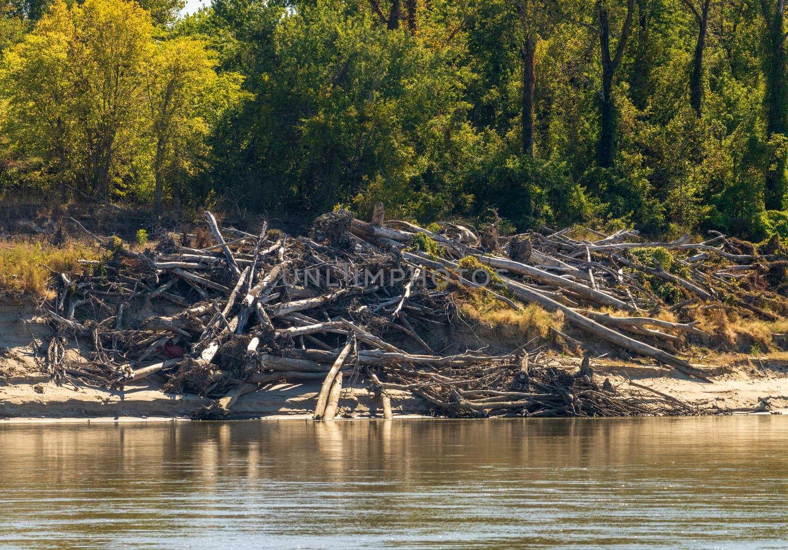 Low water levels in the lower Mississippi river expose sand bars and piles of beached tree trunks on narrow channel in the river