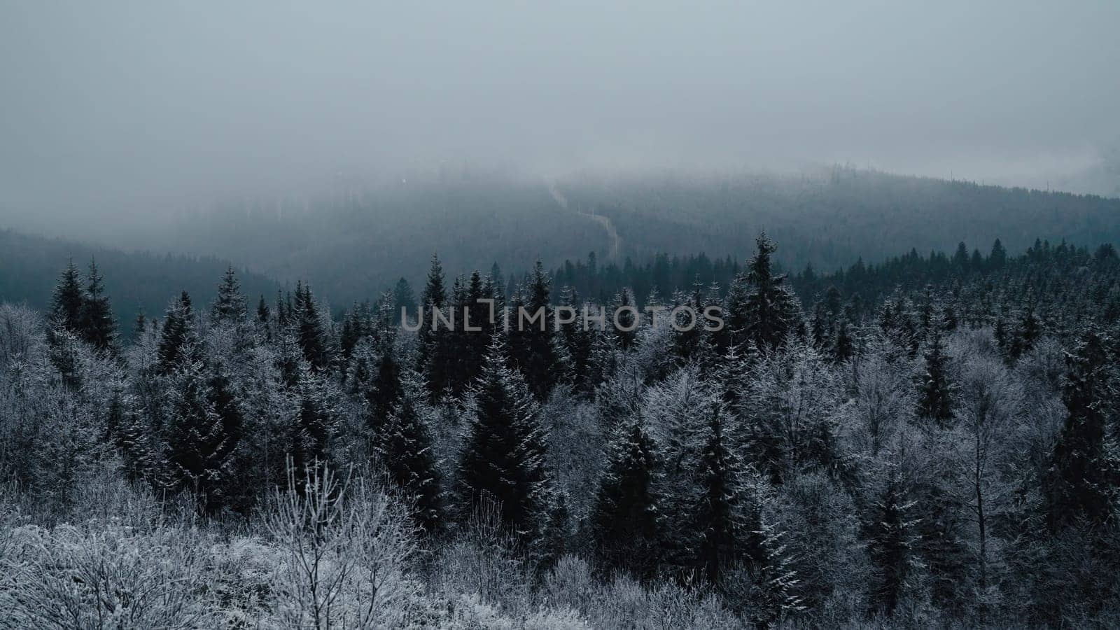 Snow in mountains, covered forest. Winter, cold weather, snowfall. Romantic wonderland. Magic landscape, beautiful Christmas background.